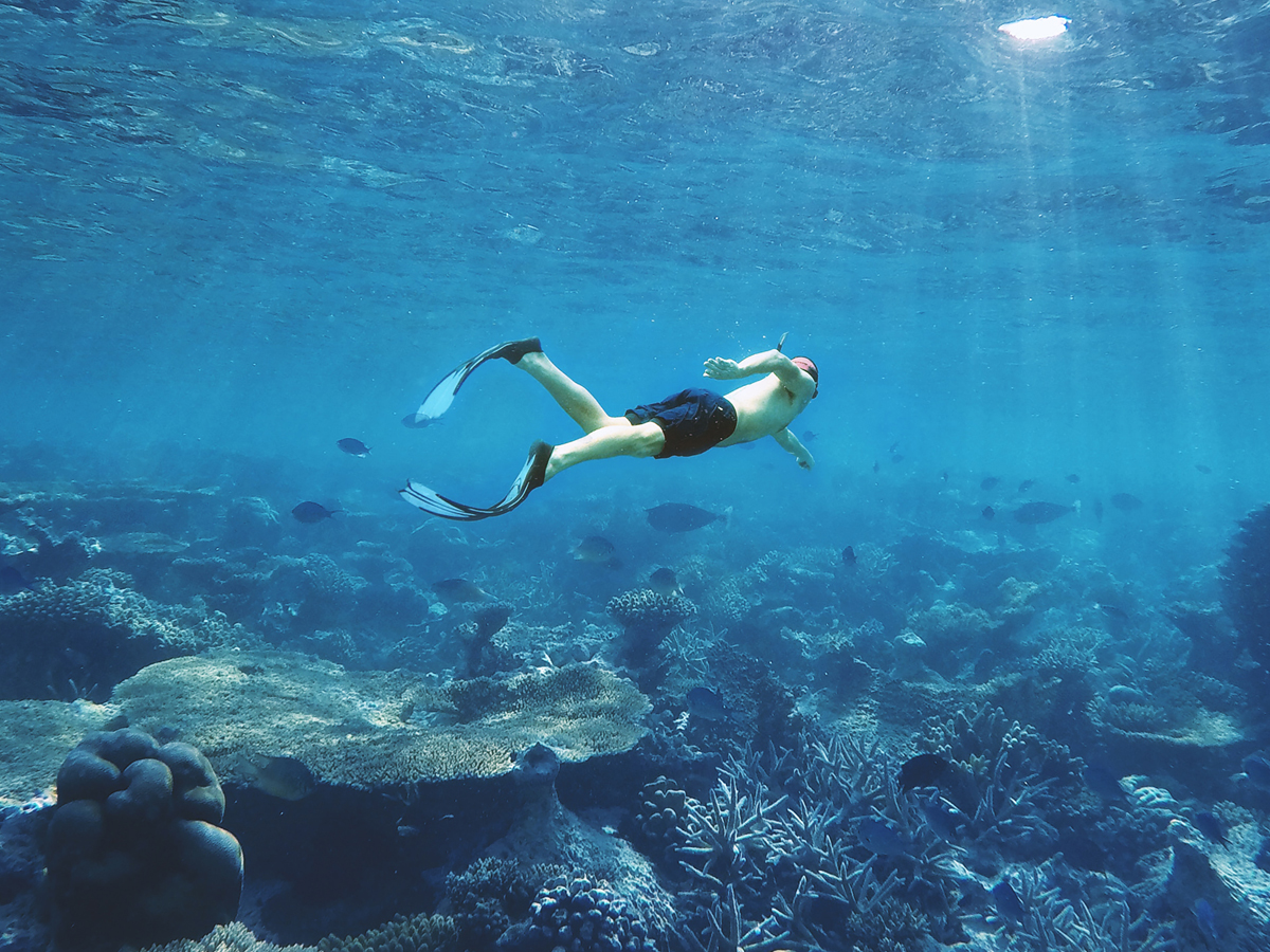Wo Kann Man Auf Fuerteventura Am Besten Schnorcheln Das Wetter auf Fuerteventura im August - Fuerteventura.de