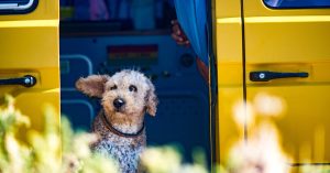 Fuerteventura ist wundebar